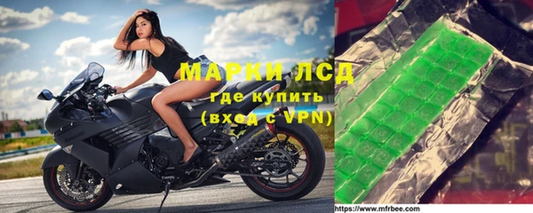 сатива Армянск